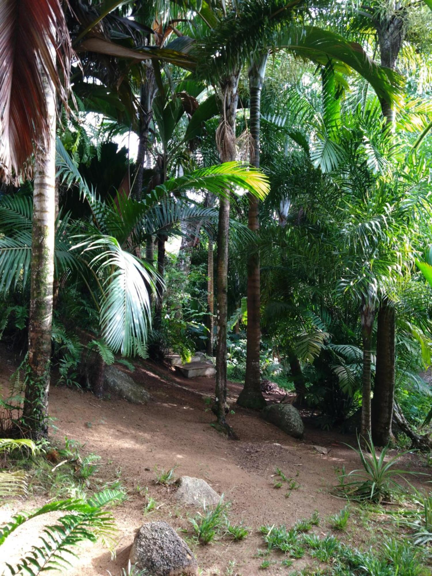 A Peace In Paradise Anse Royale Exterior foto