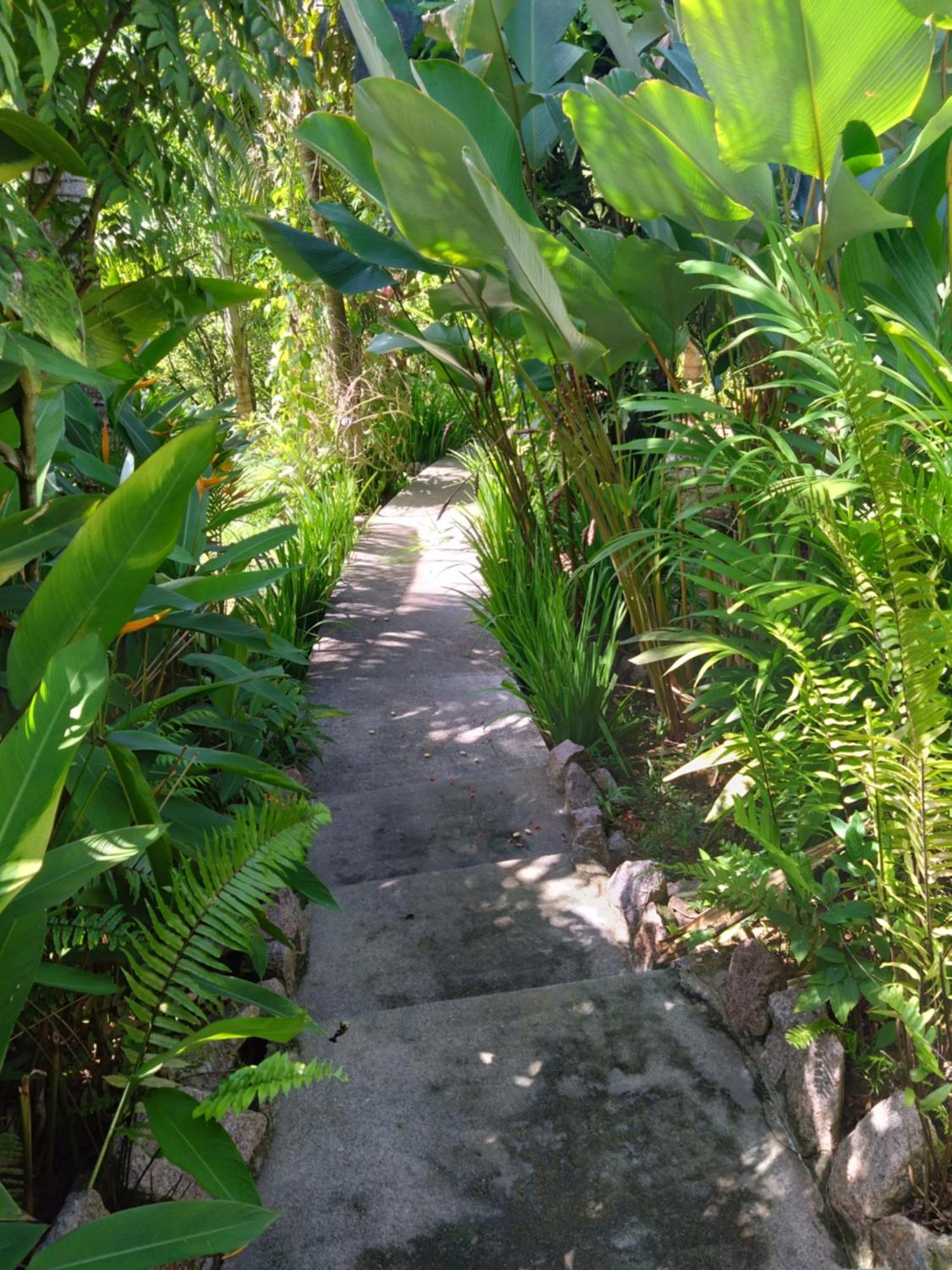 A Peace In Paradise Anse Royale Exterior foto