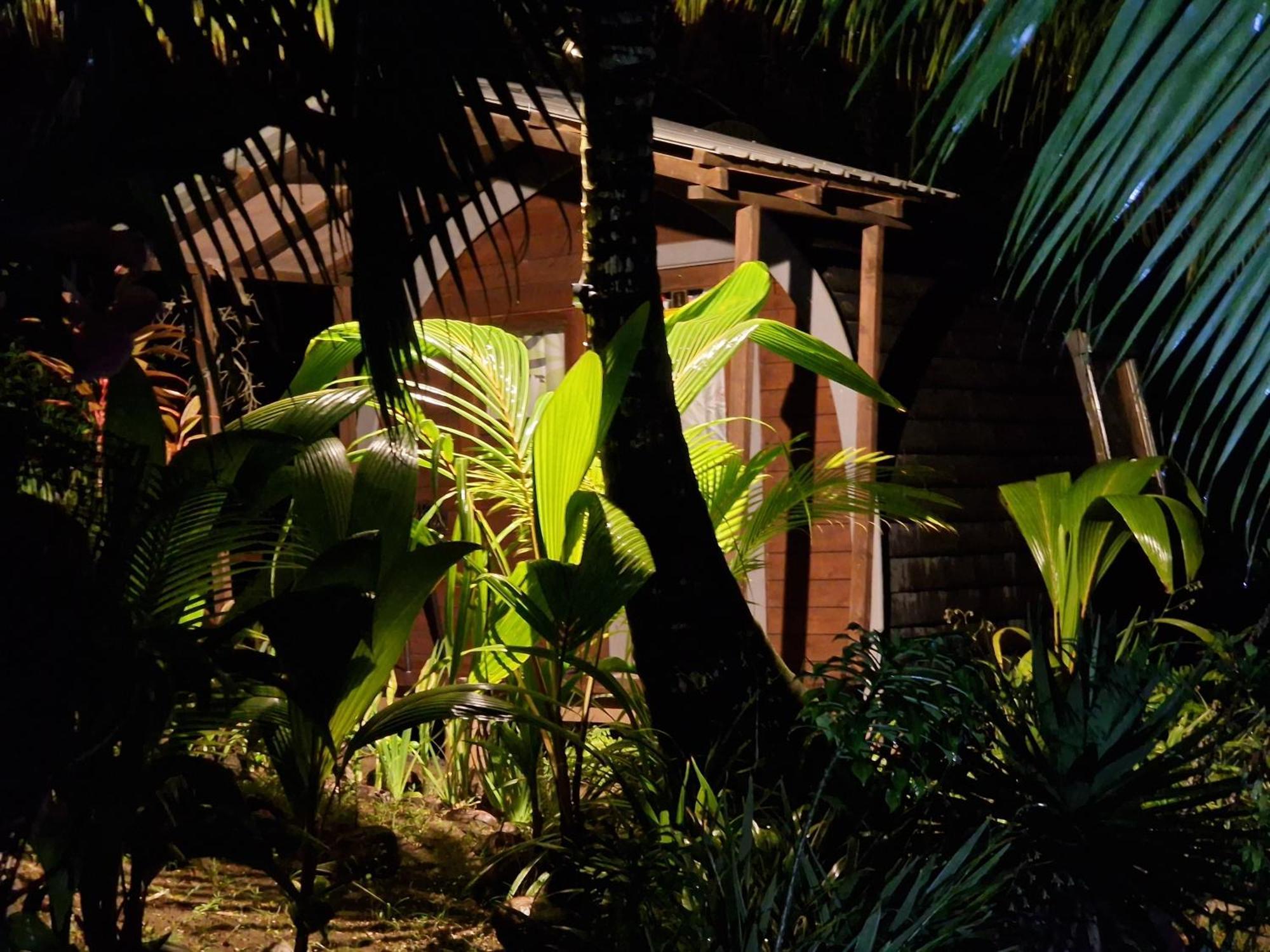 A Peace In Paradise Anse Royale Exterior foto