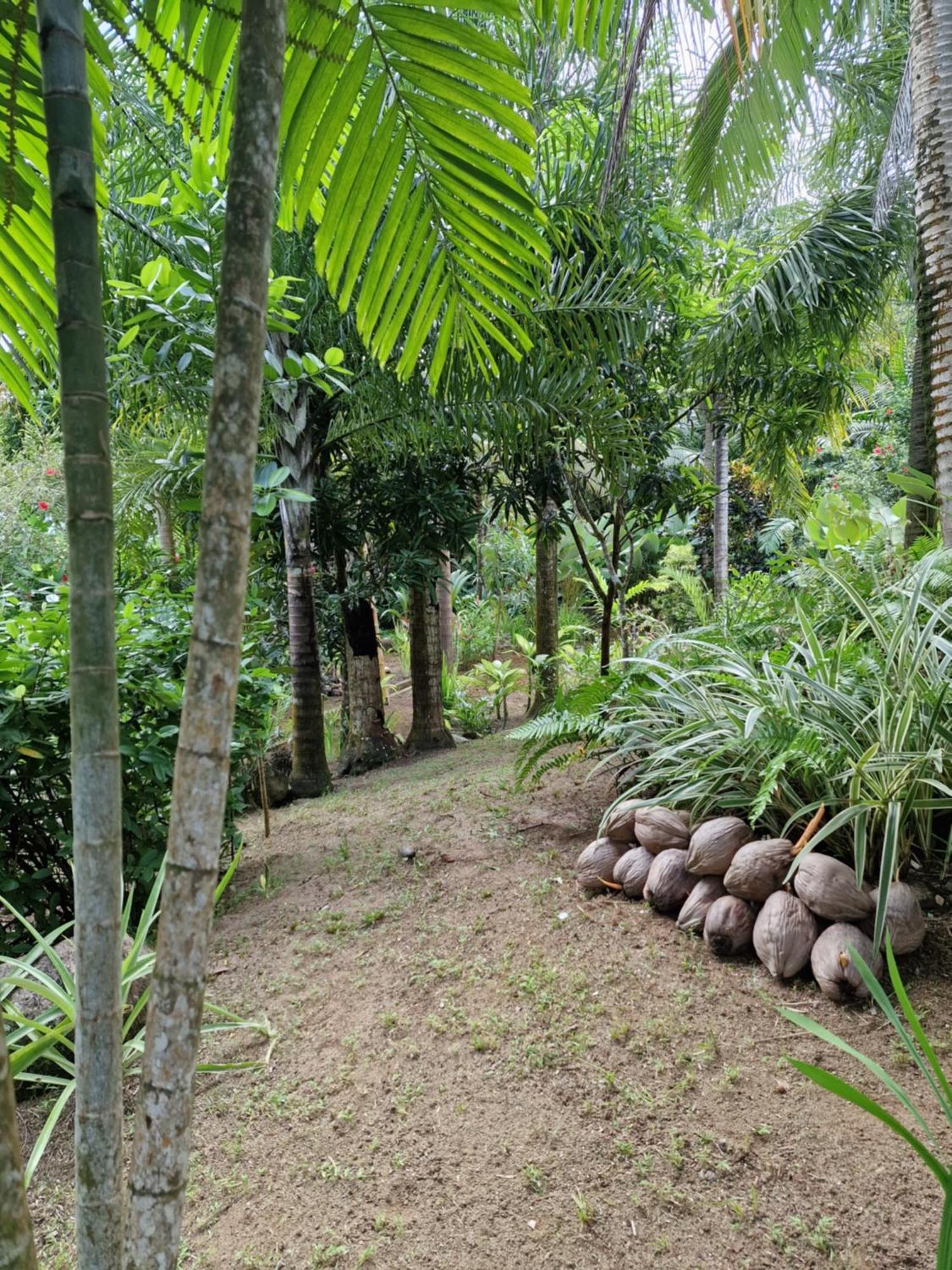 A Peace In Paradise Anse Royale Exterior foto