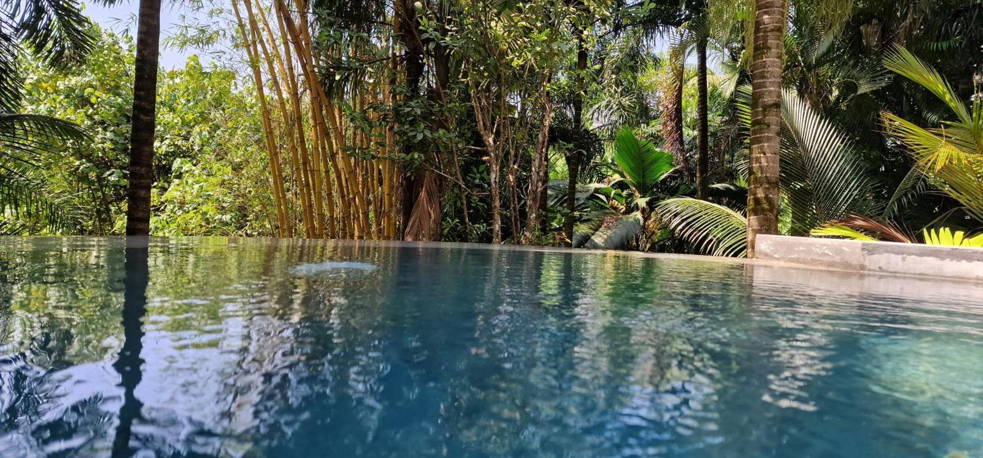A Peace In Paradise Anse Royale Exterior foto