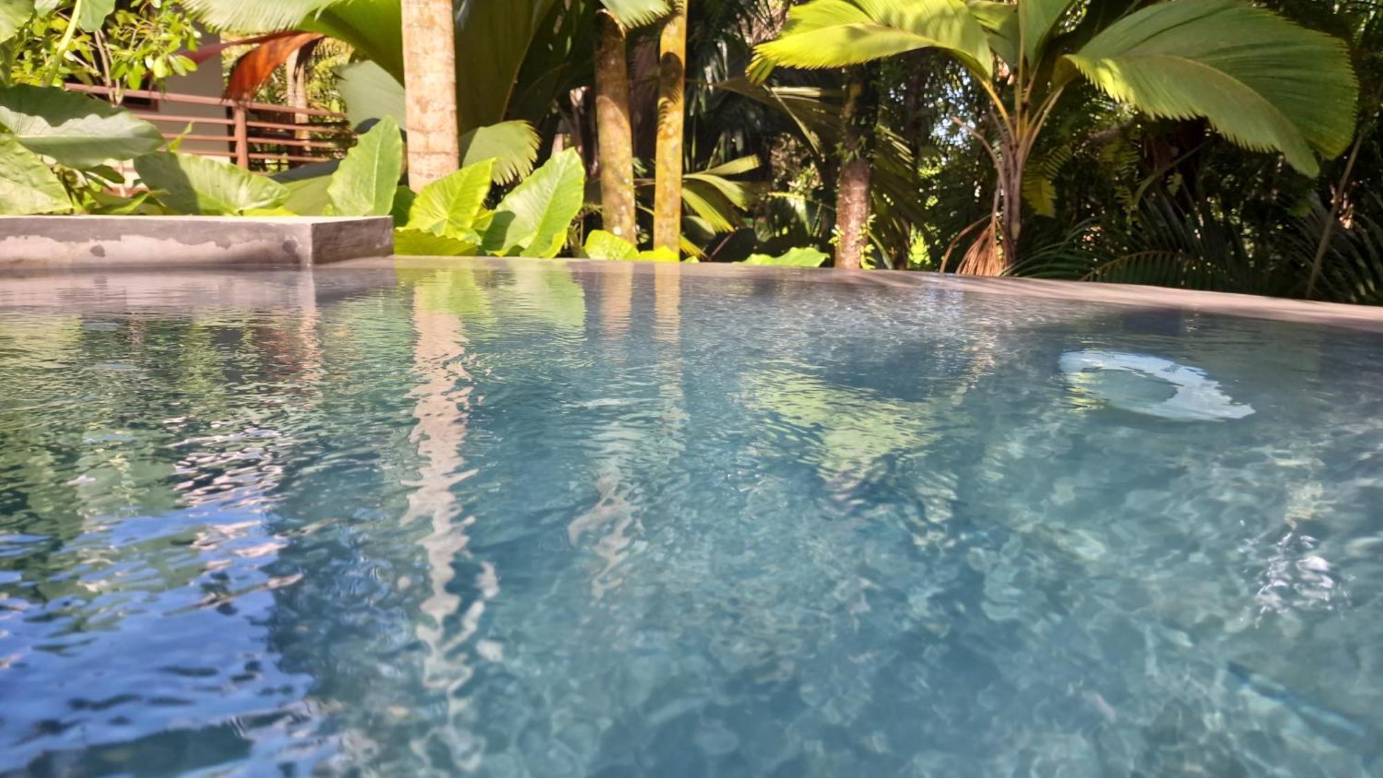 A Peace In Paradise Anse Royale Exterior foto